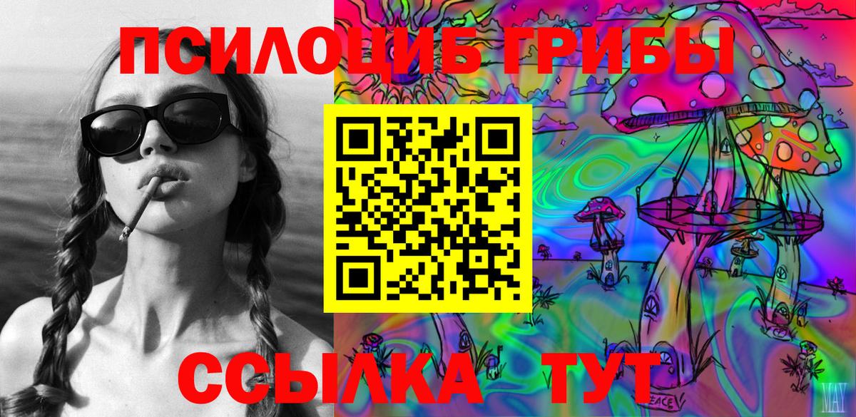 Галлюциногенные грибы Psilocybine cubensis Коломна
