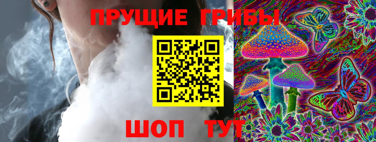 Коломна  Псилоцибиновые грибы Cubensis  Вход с VPN 